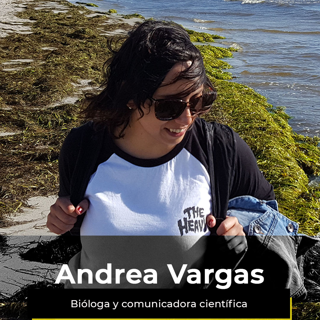¿Quieres ver la semana de Andrea?