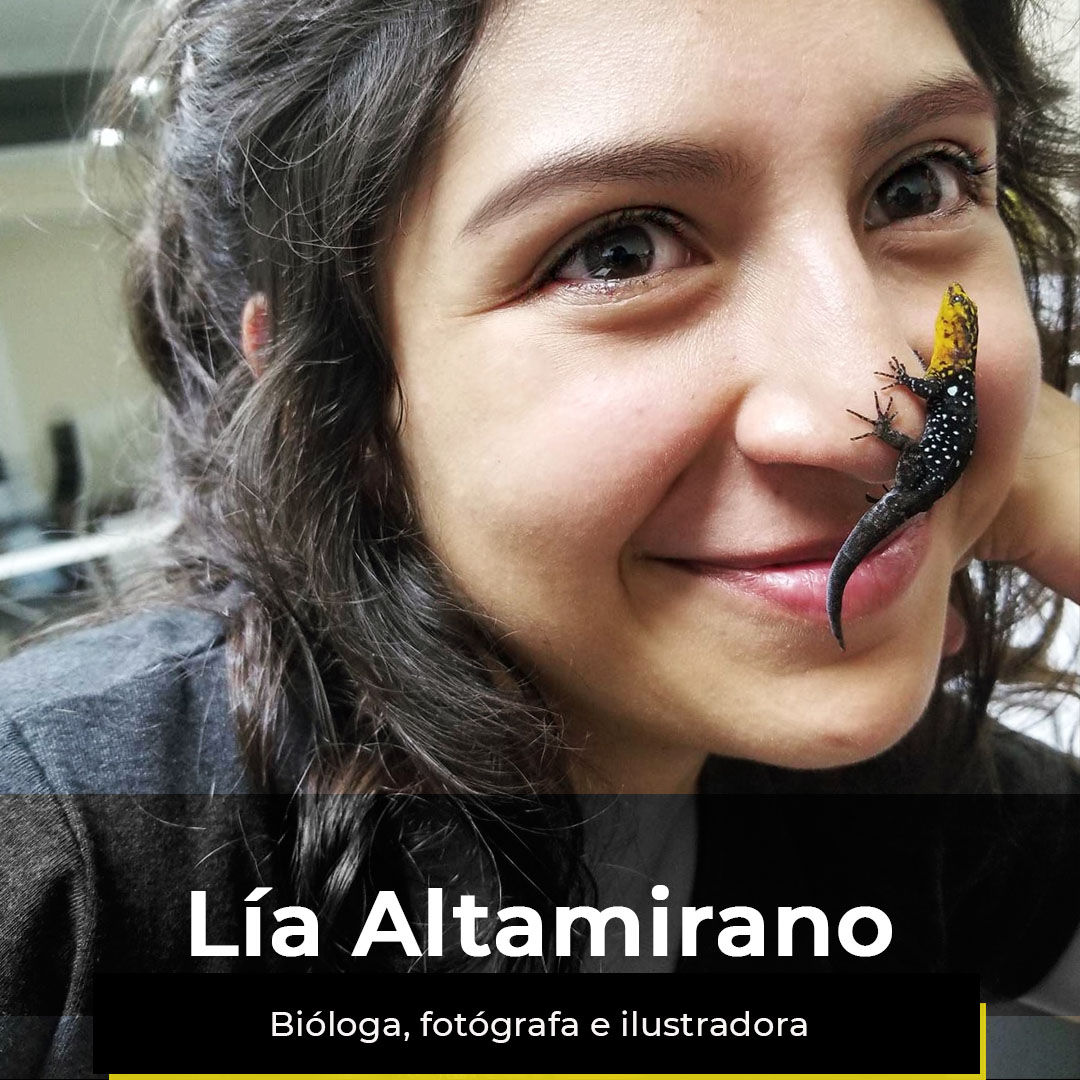 ¿Quieres ver la semana de Lía?
