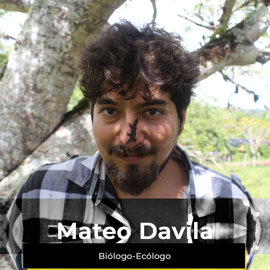 ¿Quieres ver la semana de Mateo?