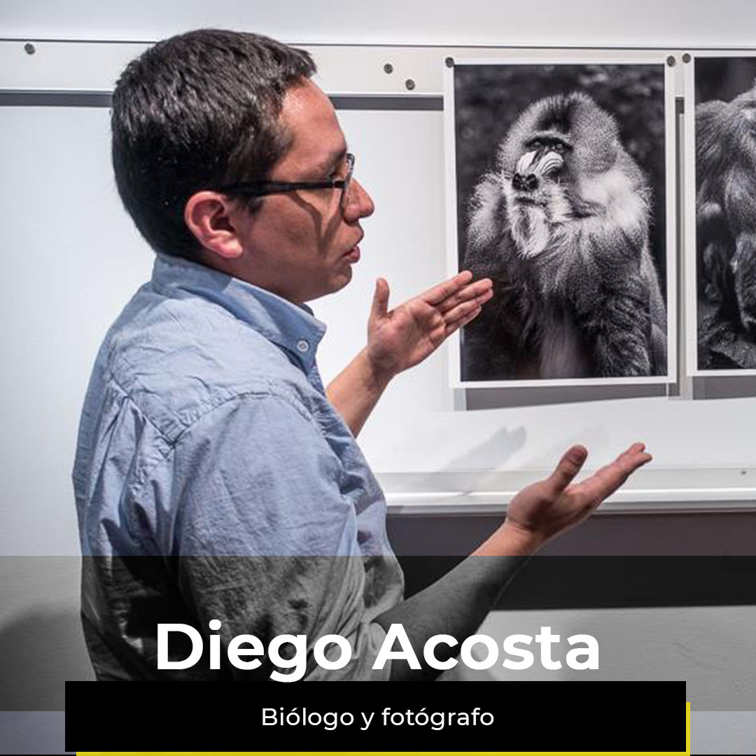 ¿Quieres ver la semana de Diego?