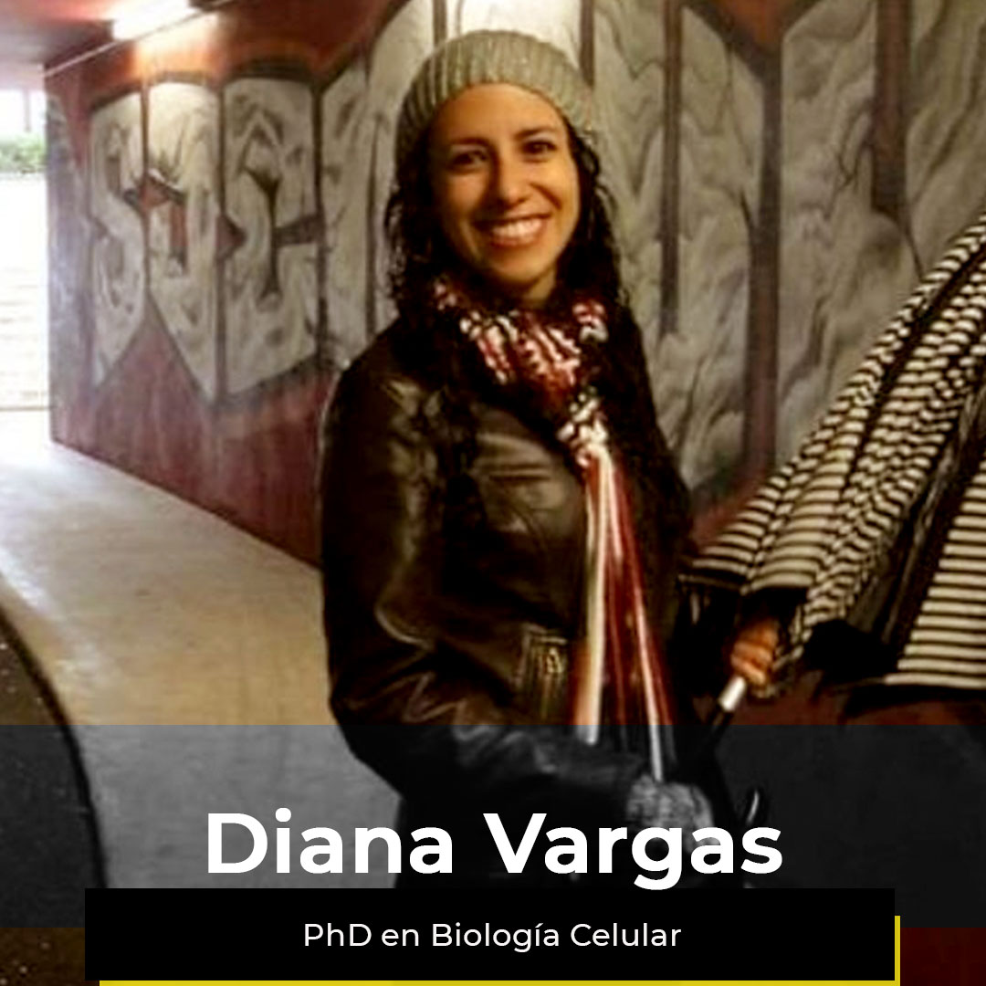 ¿Quieres ver la semana de Diana?