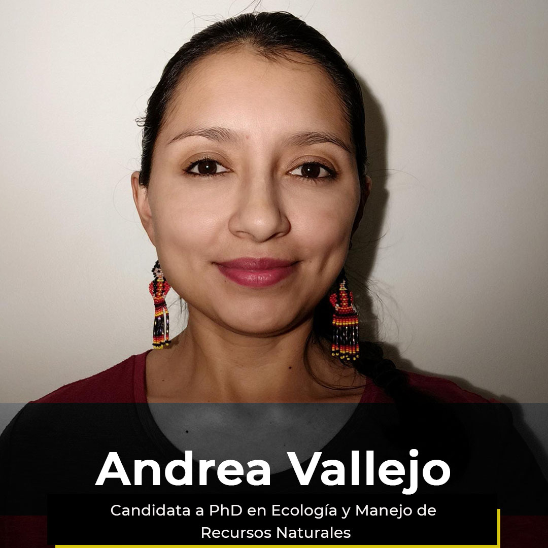 ¿Quieres ver la semana de Andrea?