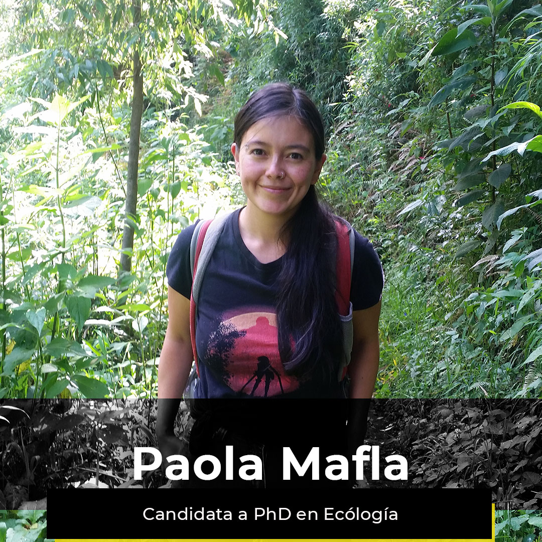 ¿Quieres ver la semana de Paola?