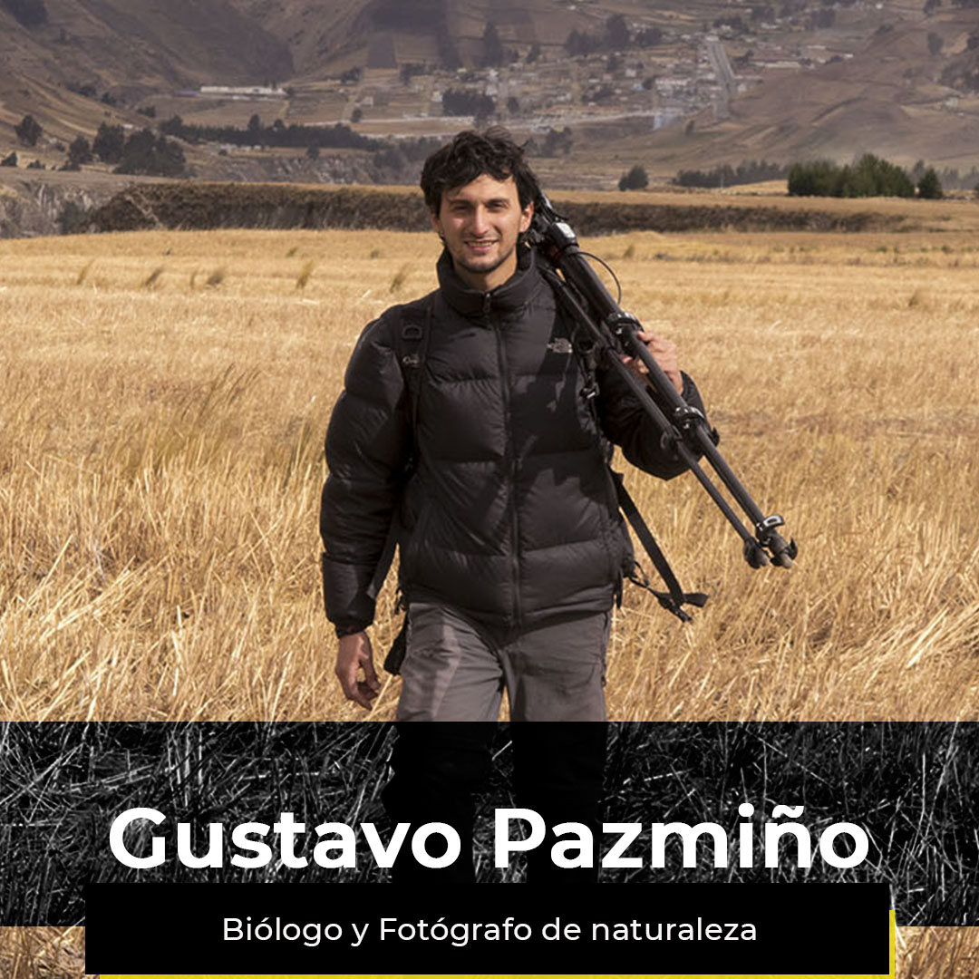 ¿Quieres ver la semana de Gustavo?