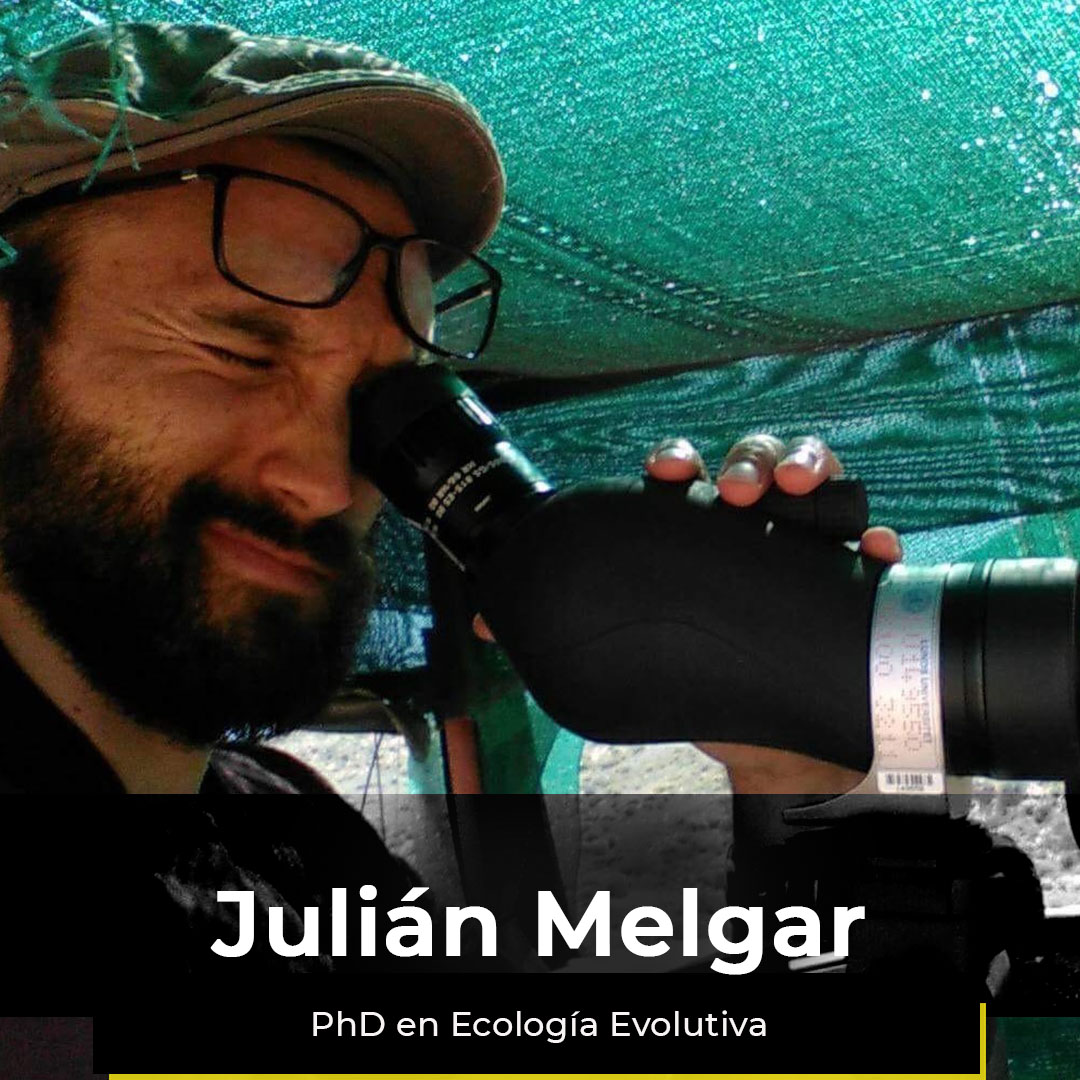 ¿Quieres ver la semana de Julián?