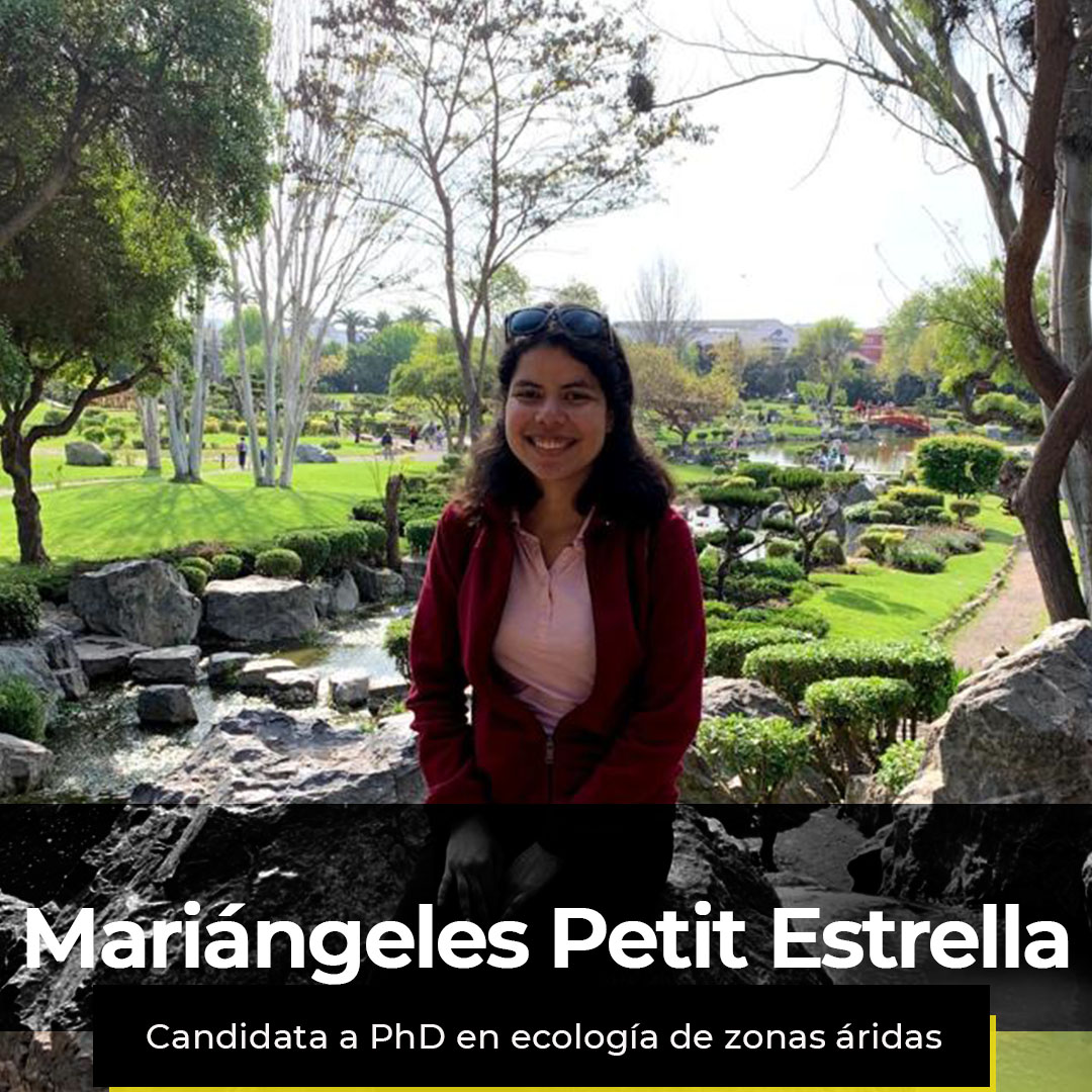 ¿Quieres ver la semana de Mariángeles??