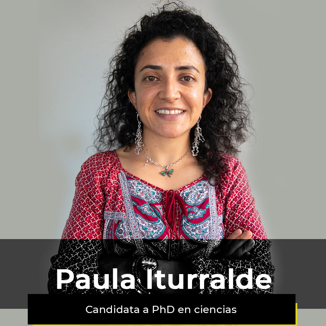 ¿Quieres ver la semana de Paula?