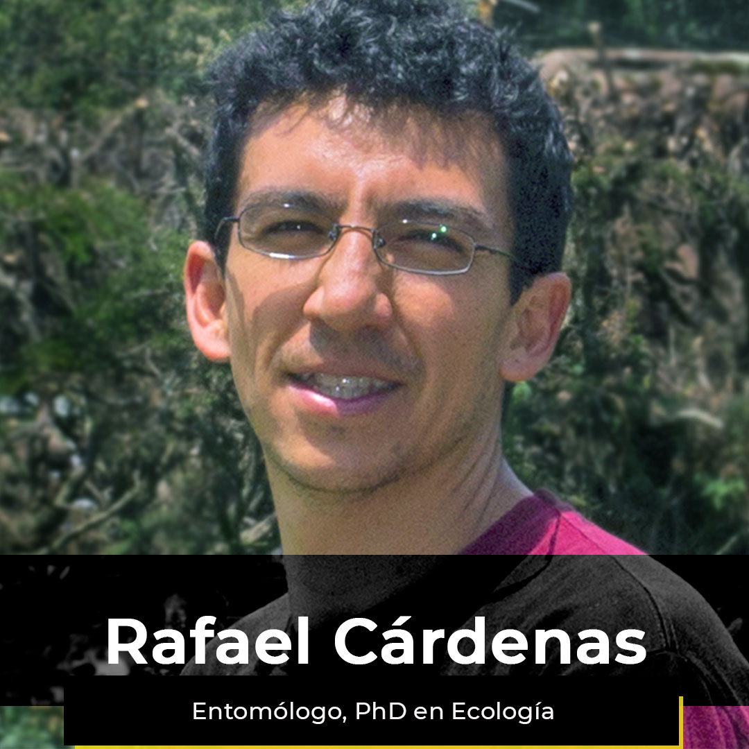 ¿Quieres ver la semana de Rafael?