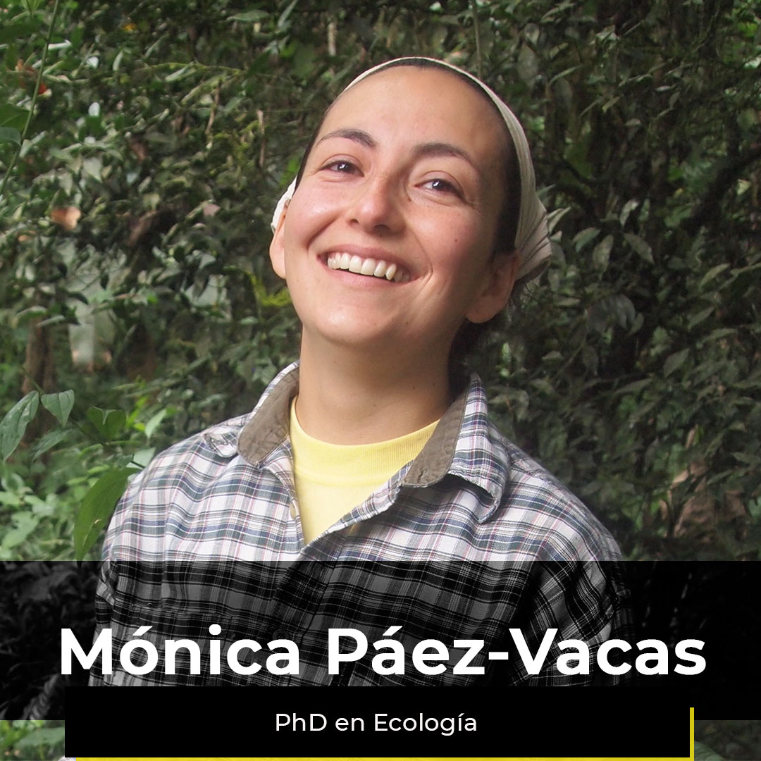 ¿Quieres ver la semana de Mónica?