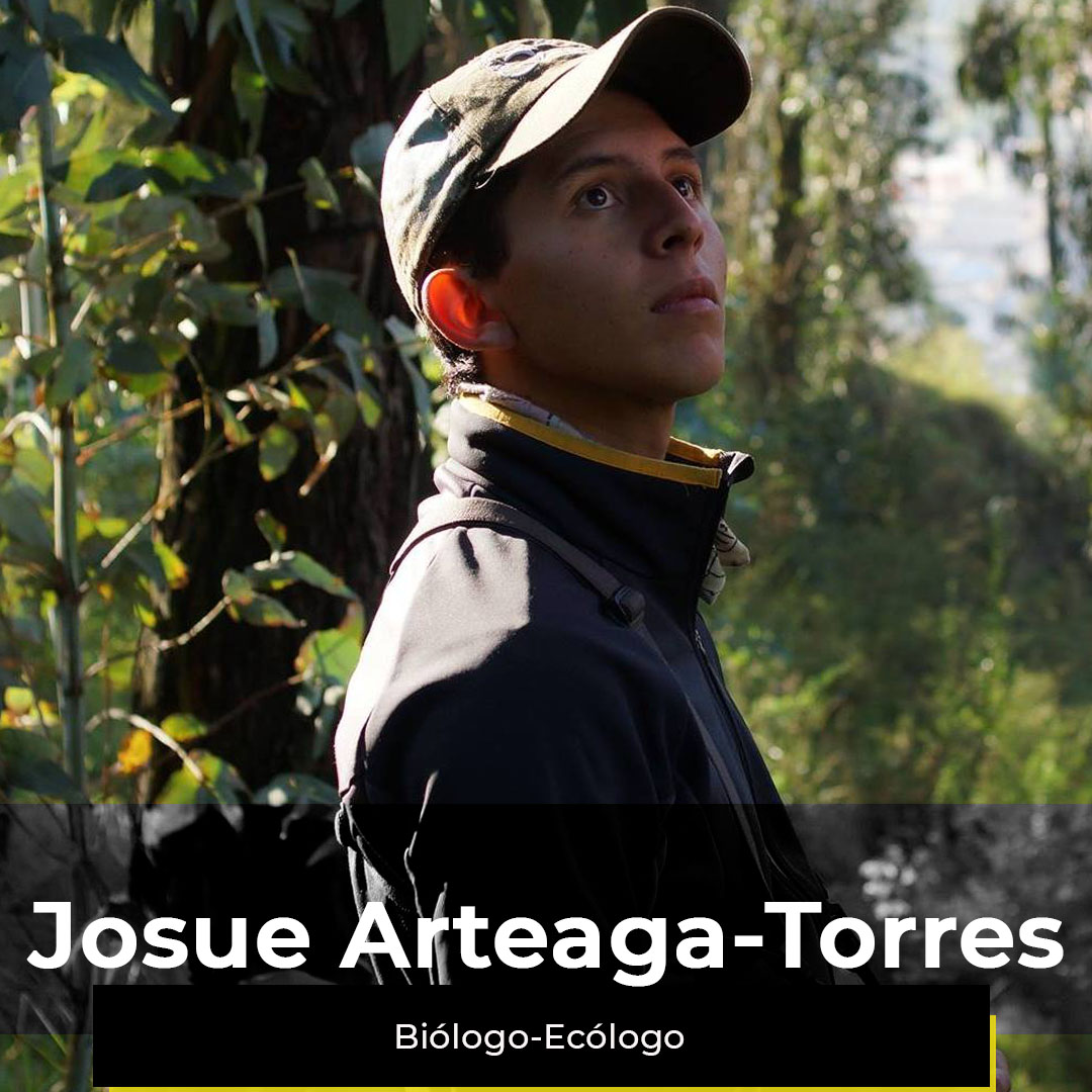 ¿Quieres ver la semana de Josué?