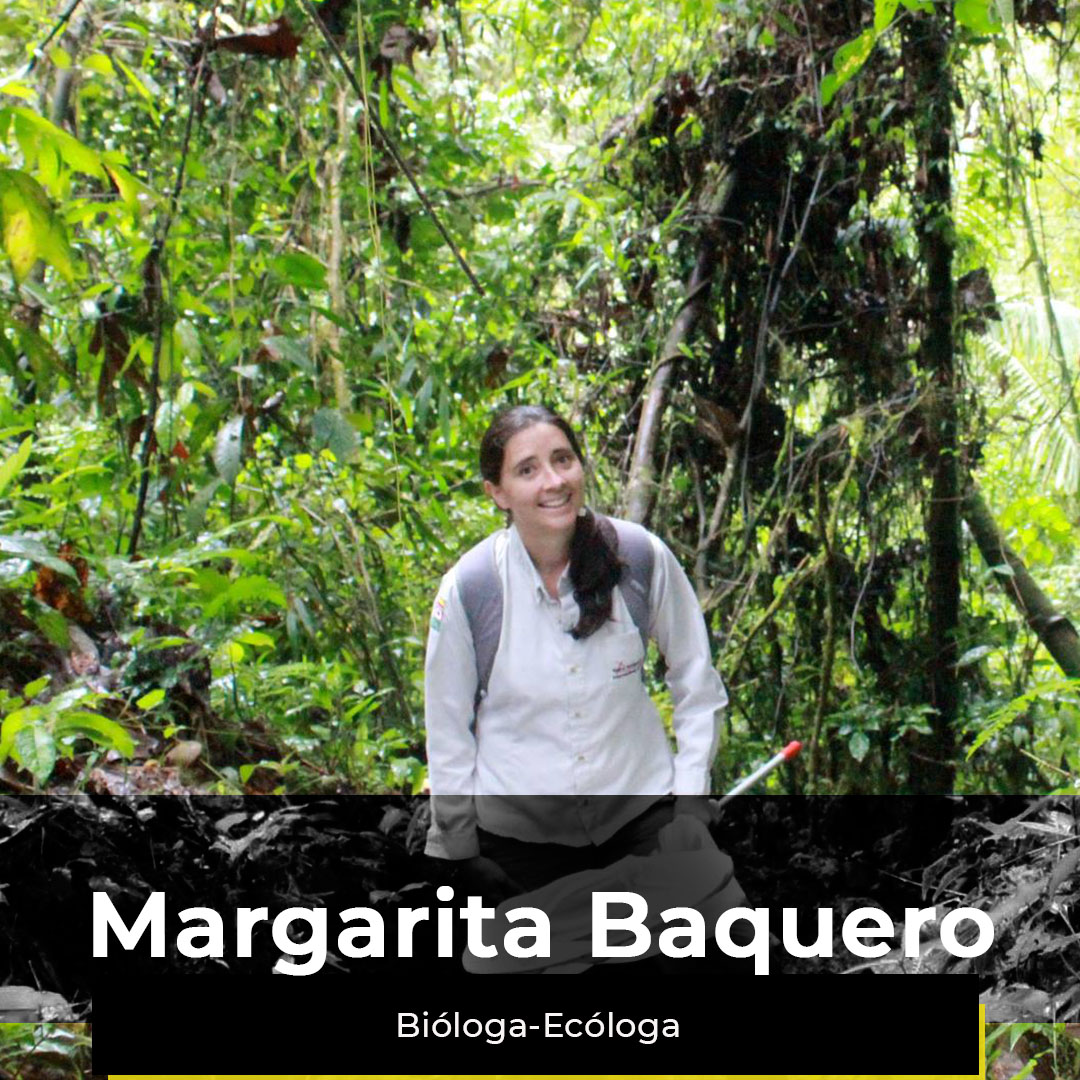 ¿Quieres ver la semana de Margarita?
