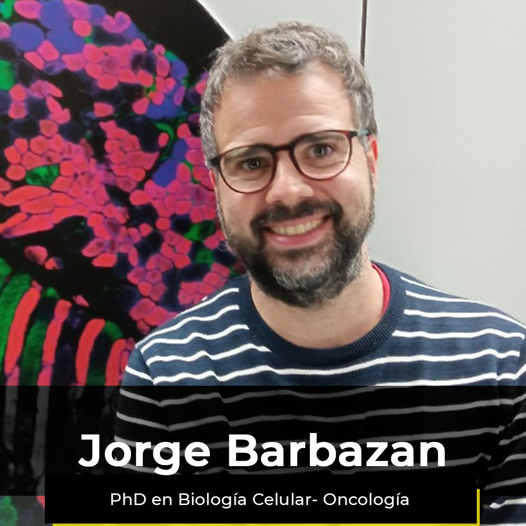 ¿Quieres ver la semana de Jorge?
