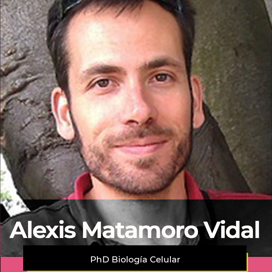 ¿Quieres ver la semana de Alexis?