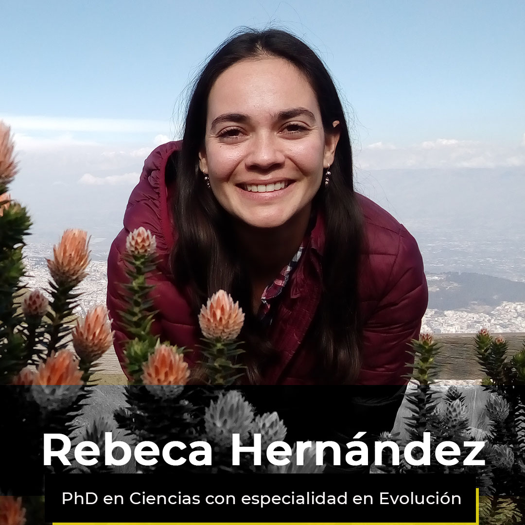 ¿Quieres ver la semana de Rebeca?