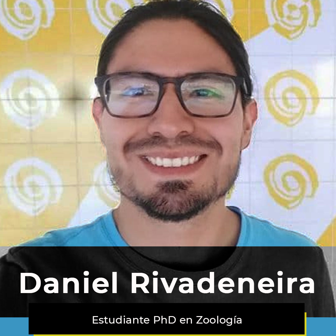 ¿Quieres ver la semana de Daniel?