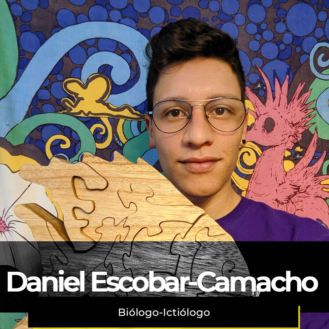 ¿Quieres ver la semana de Daniel?