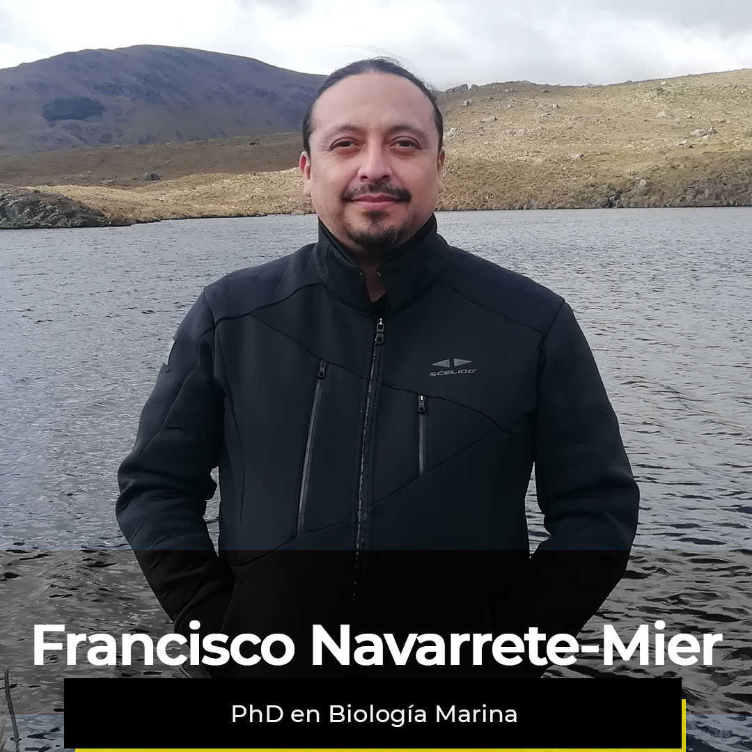 ¿Quieres ver la semana de Francisco?