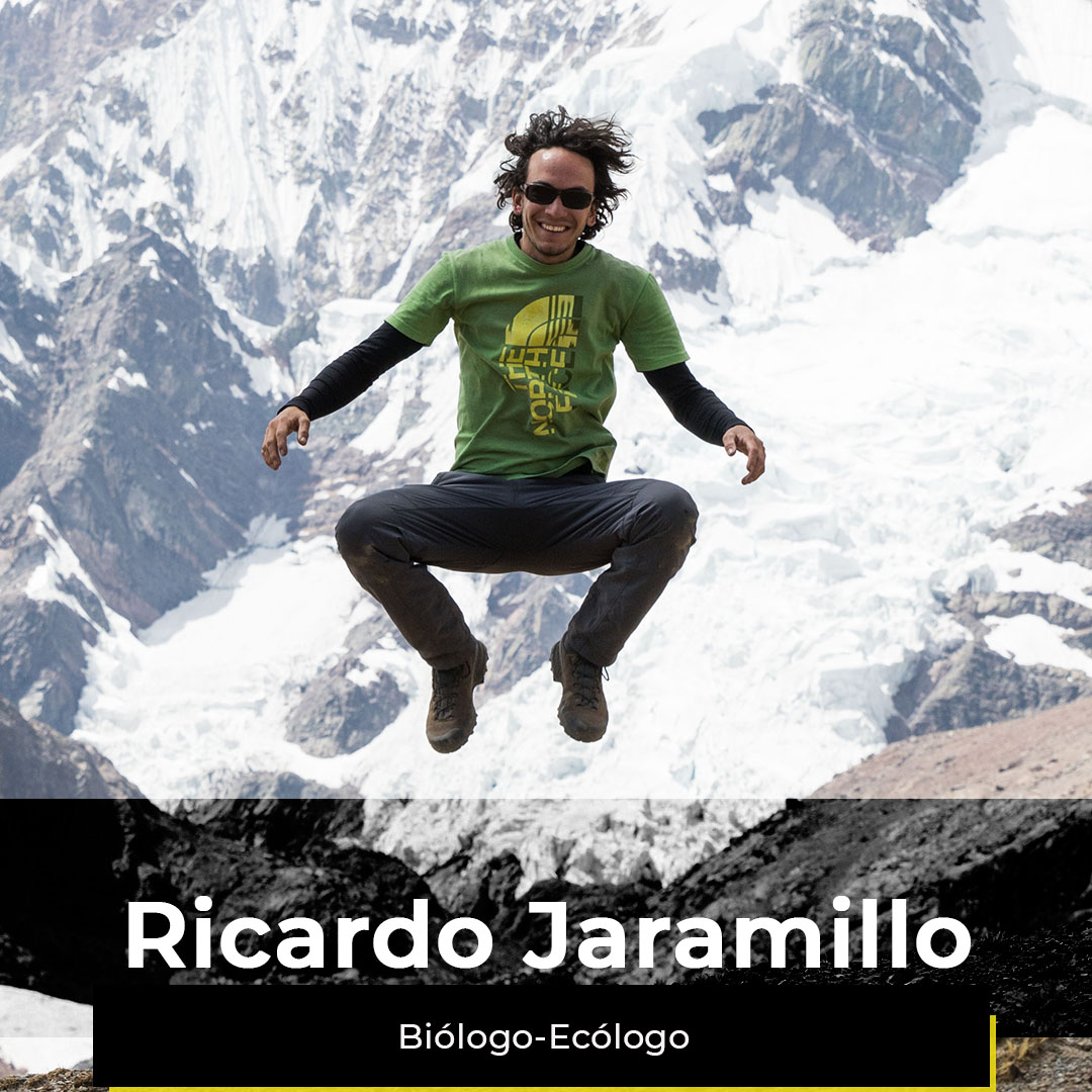 ¿Quieres ver la semana de Ricardo?
