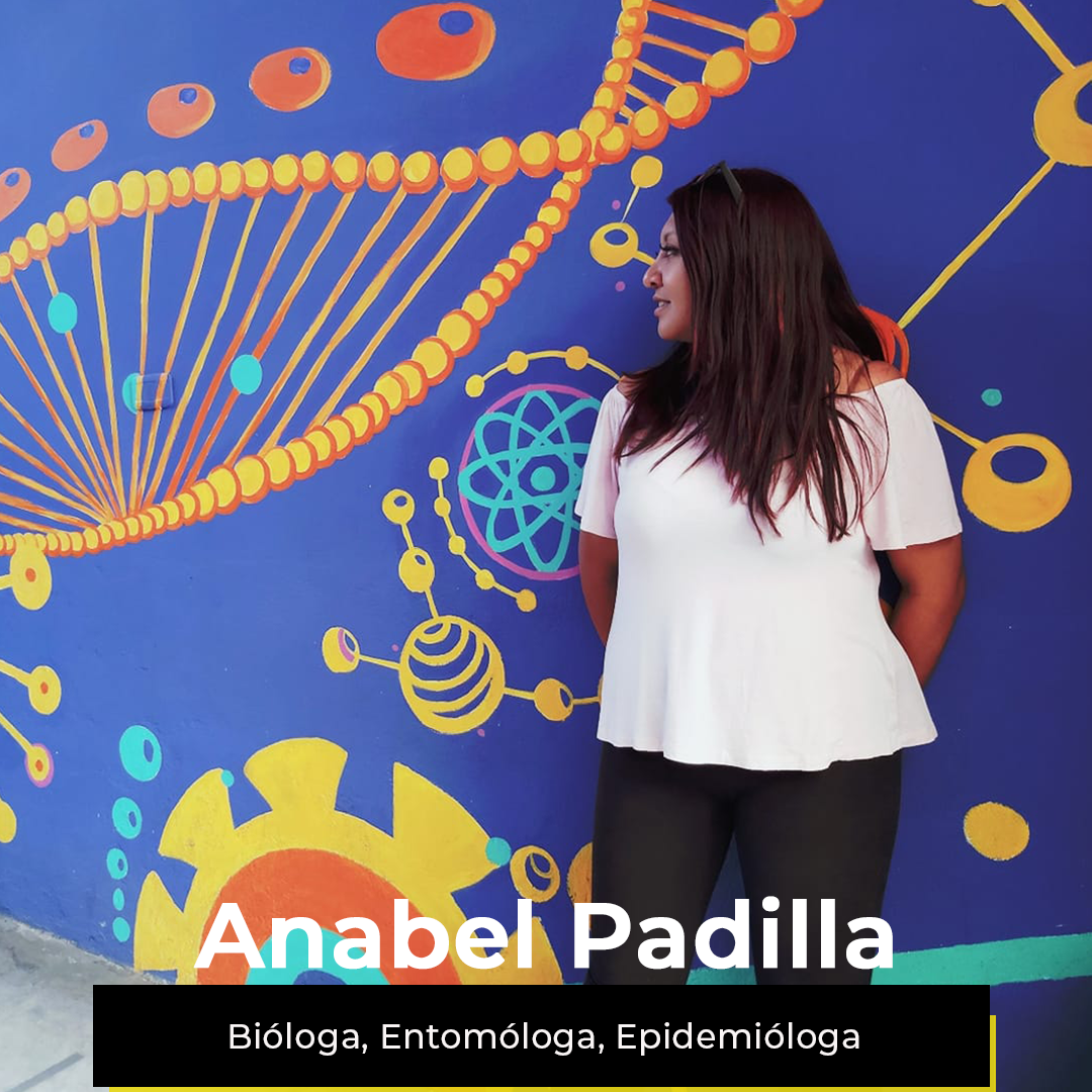¿Quieres ver la semana de Anabel?