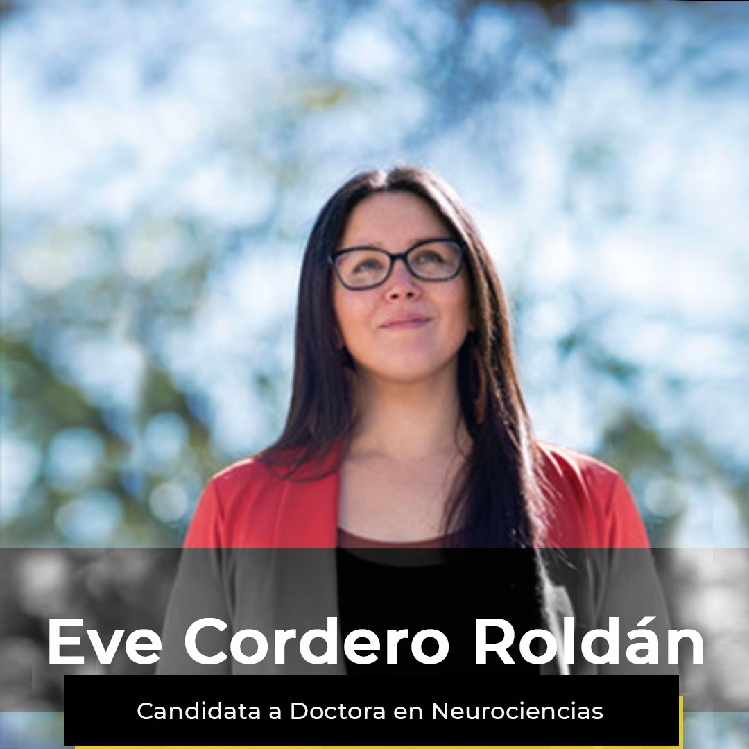 ¿Quieres ver la semana de Evelyn?