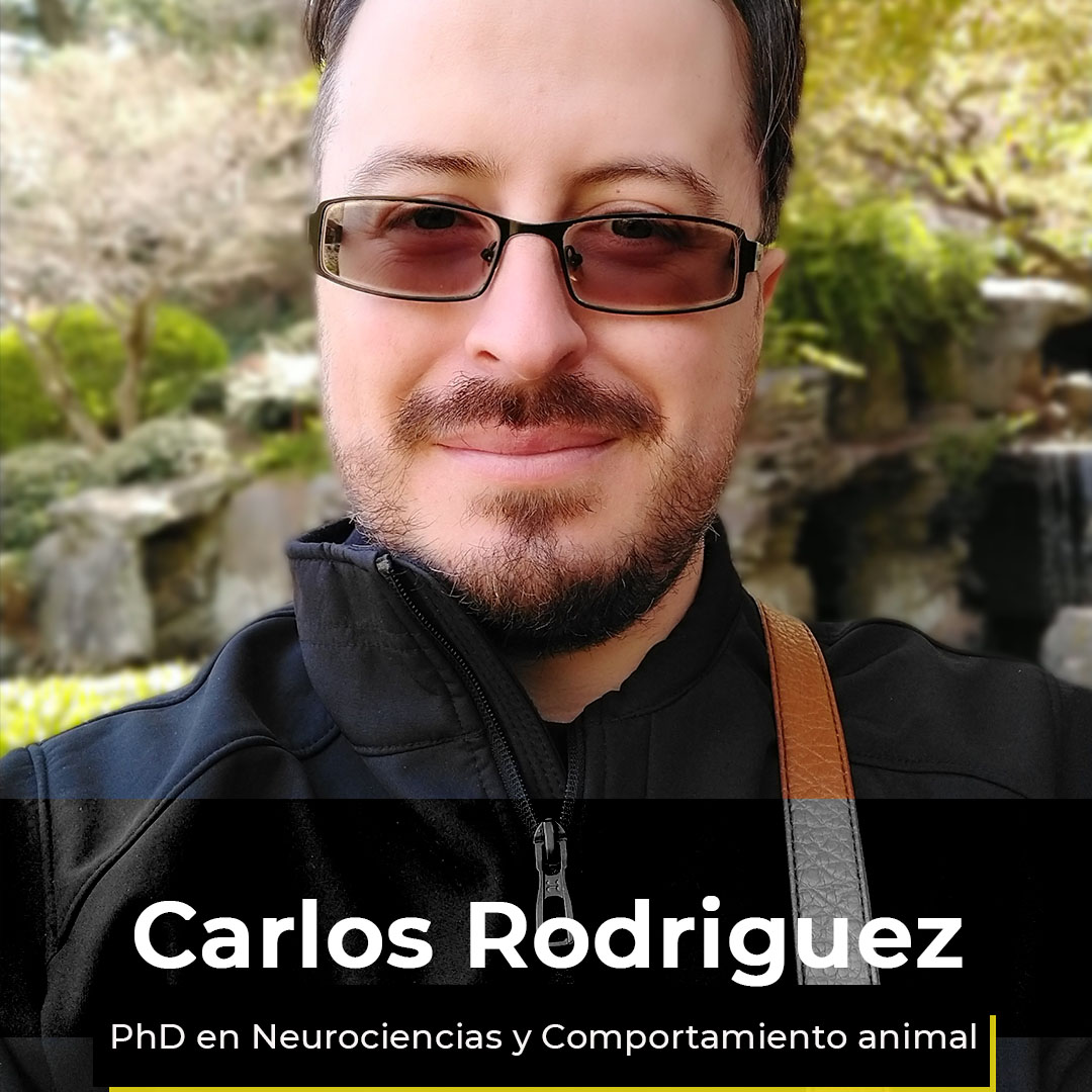 ¿Quieres ver la semana de Carlos?