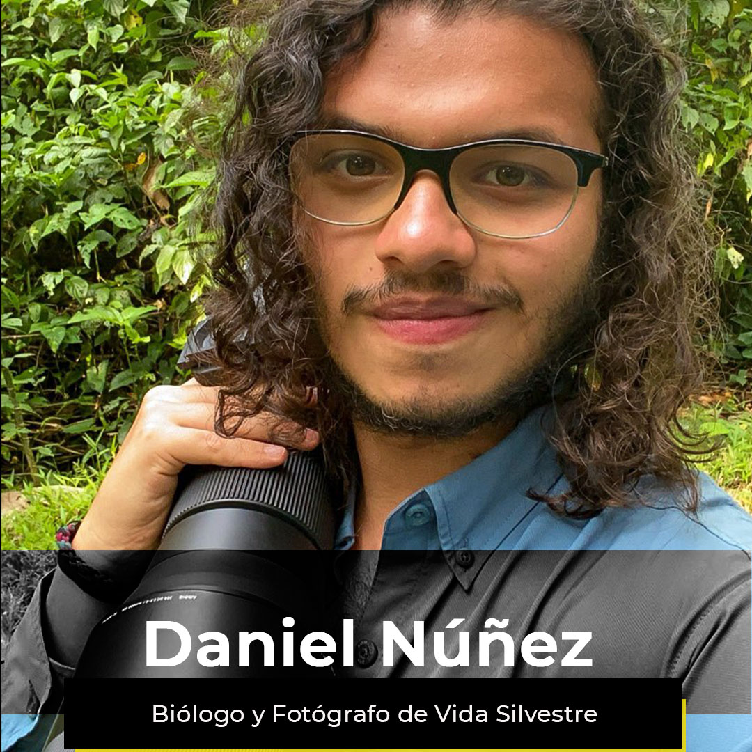 ¿Quieres ver la semana de Daniel?