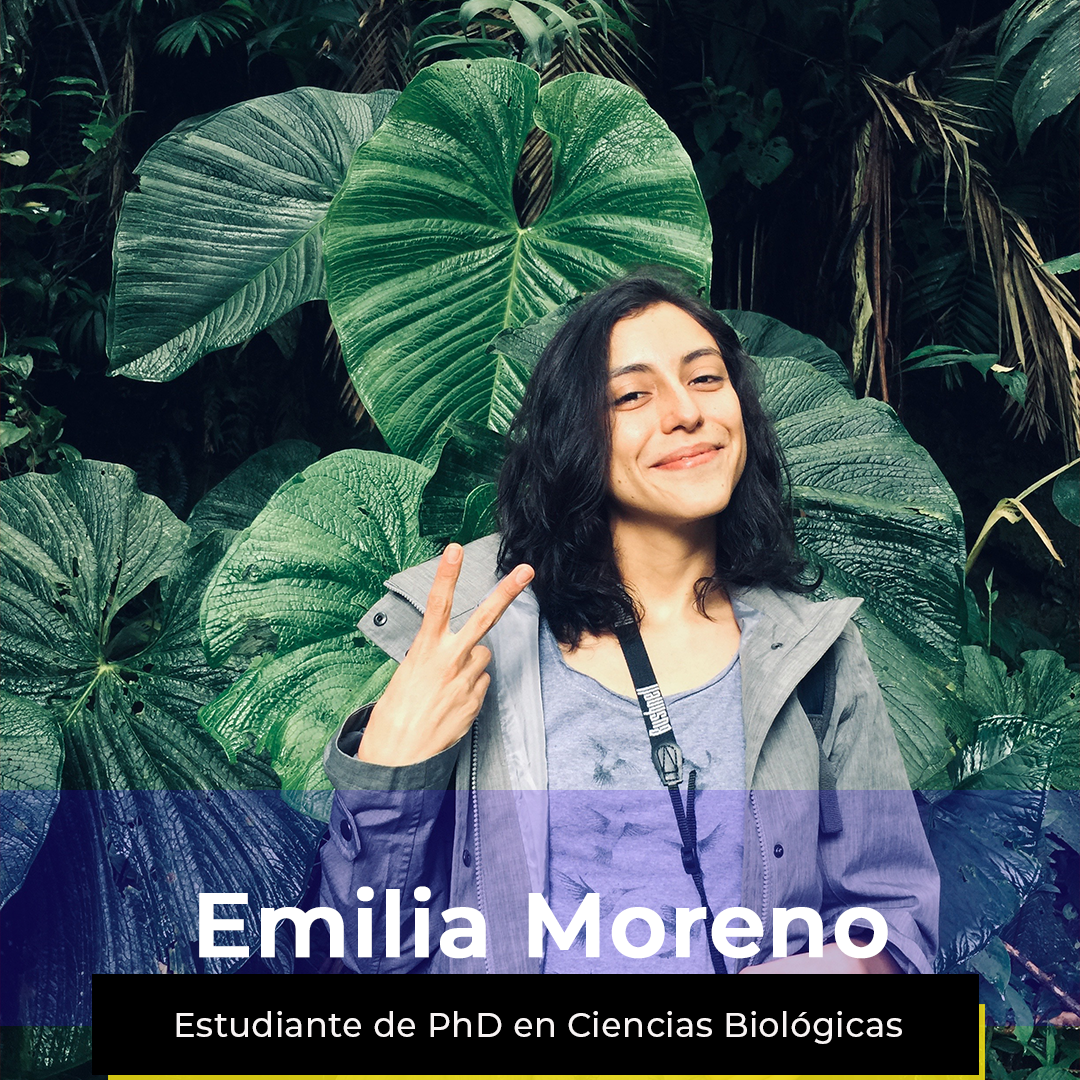 ¿Quieres ver la semana de Emilia?