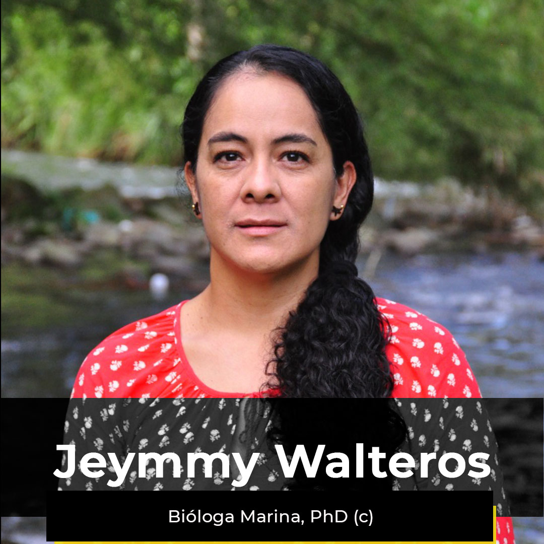 ¿Quieres ver la semana de Jeymmy?