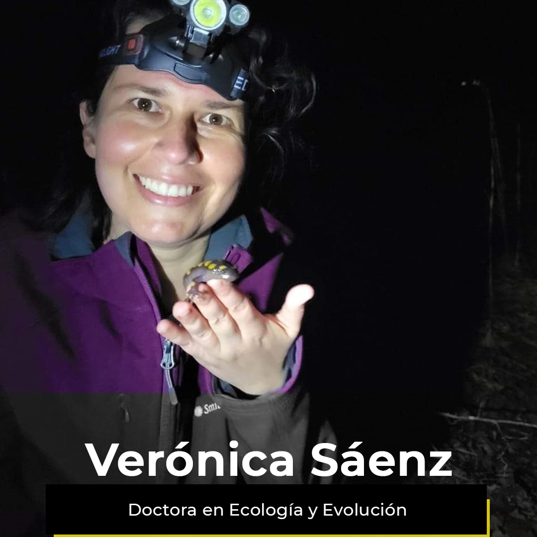 ¿Quieres ver la semana de Verónica?