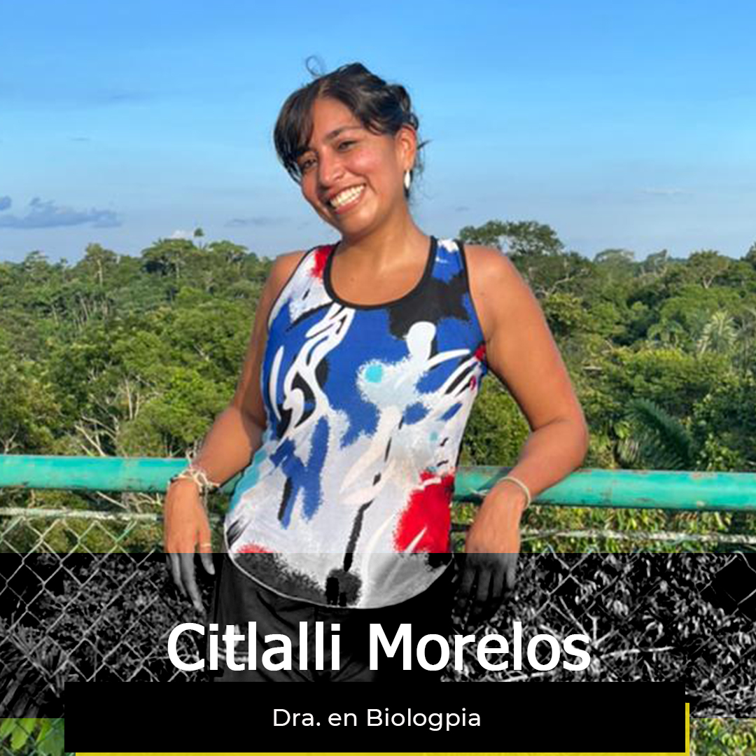 ¿Quieres ver la semana de Citlalli?