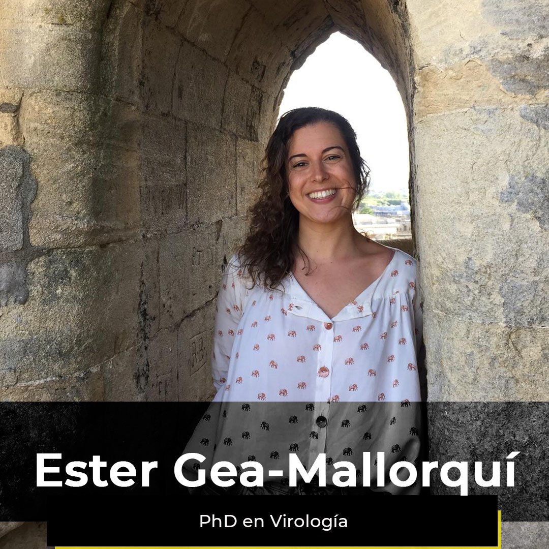 ¿Quieres ver la semana de Ester?