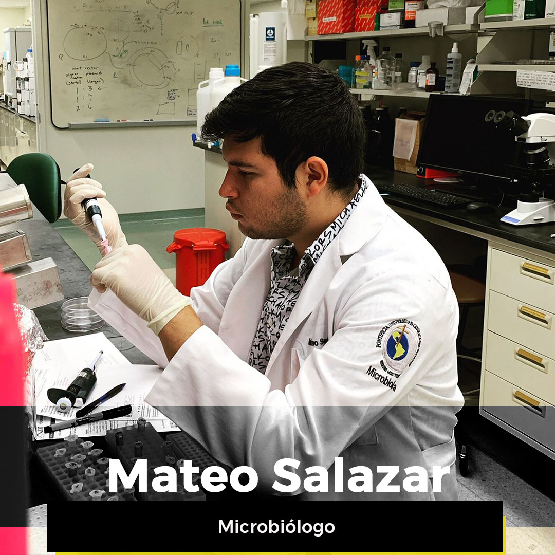 ¿Quieres ver la semana de Mateo?